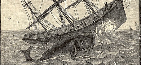 The Earliest Picture of the Essex Disaster - Nantucket Historical